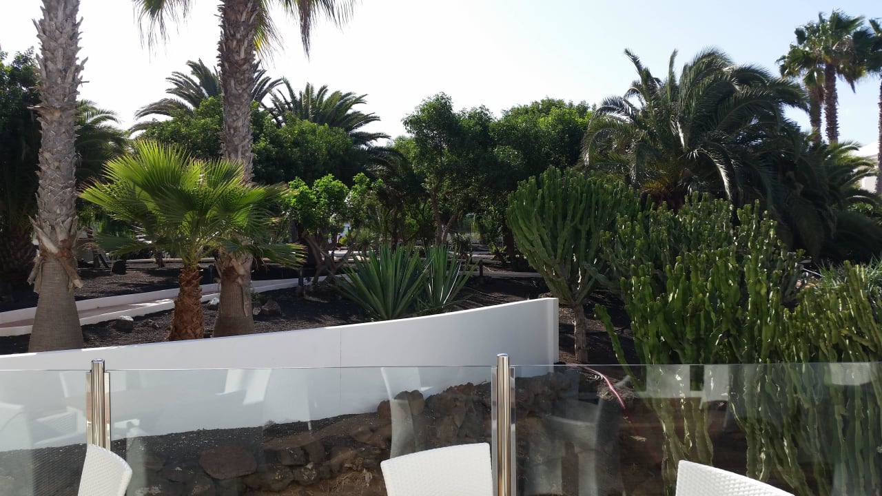 Von der Bar aus gesehen H10 Ocean Suites