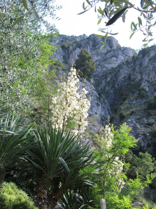 Ausblick zu den Bergen Relax Hotel Villa La Gardenia & Oleandra