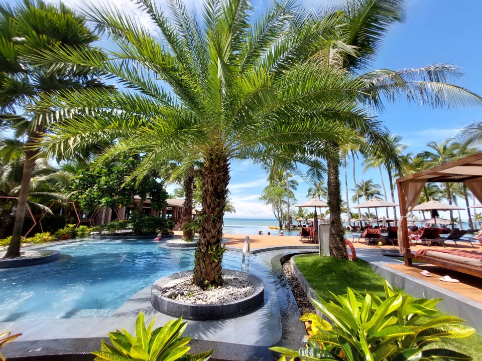 Pool La Flora Khao Lak