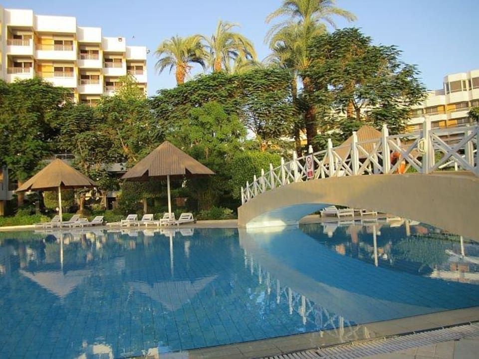 Die wunderschöne Poolanlage Pyramisa Hotel Luxor