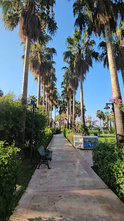 Gartenanlage Royal Atlantis Beach Hotel