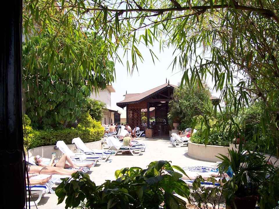 Sonnenterrasse Sheraton Grand Pune