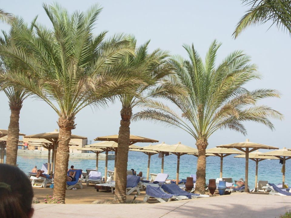 Beachappa Palm Beach Resort