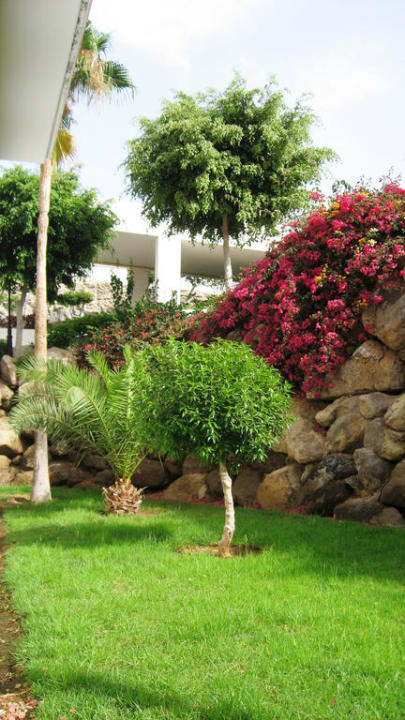 Gartenanlage Hotel Riu Palace Tenerife