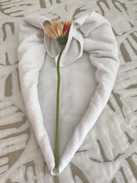 Zimmer Son Moll Sentits Hotel & Spa