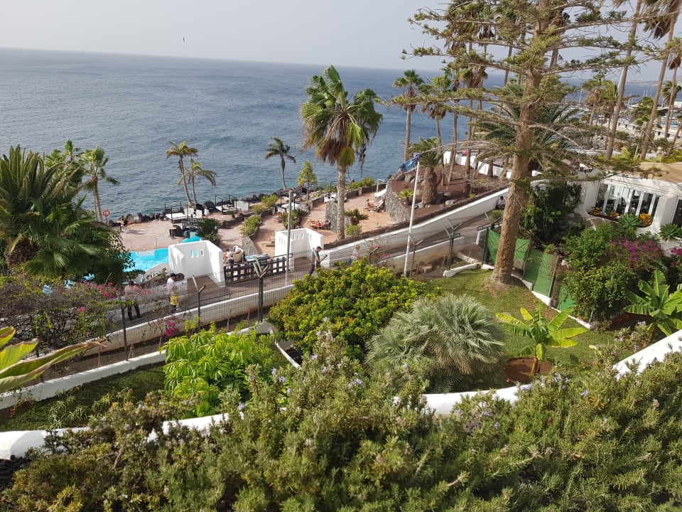 Gartenanlage Dreams Jardín Tropical