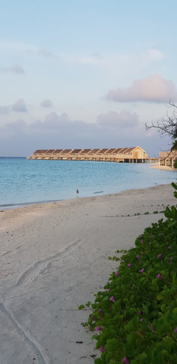 Außenansicht Kuramathi Maldives