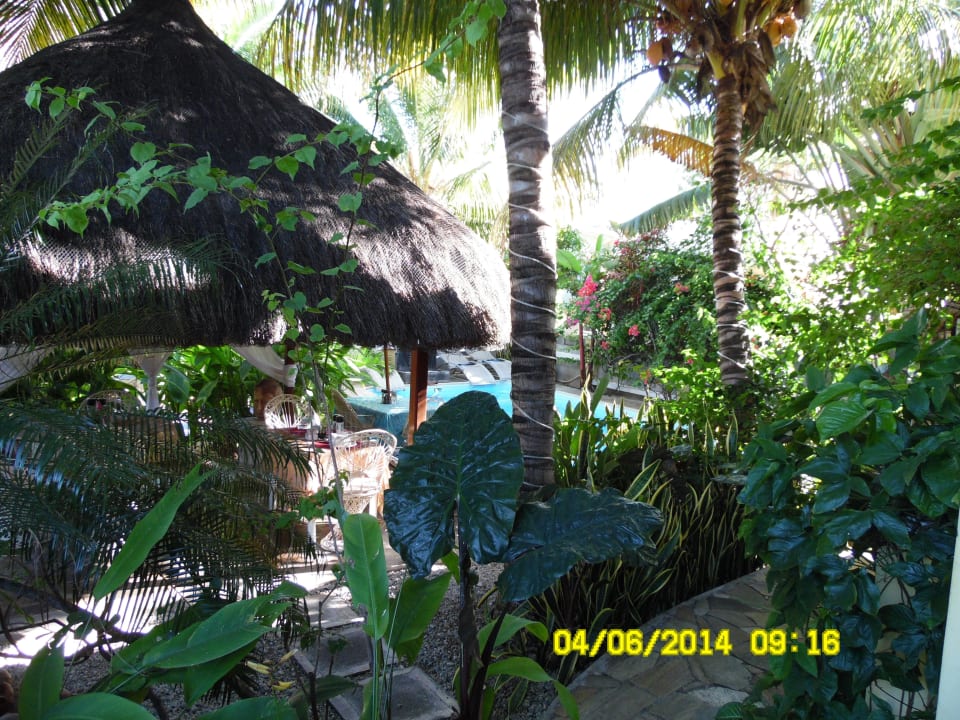 Baumhaus Villa Seewoo