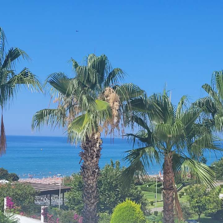 Strand Alba Queen Hotel