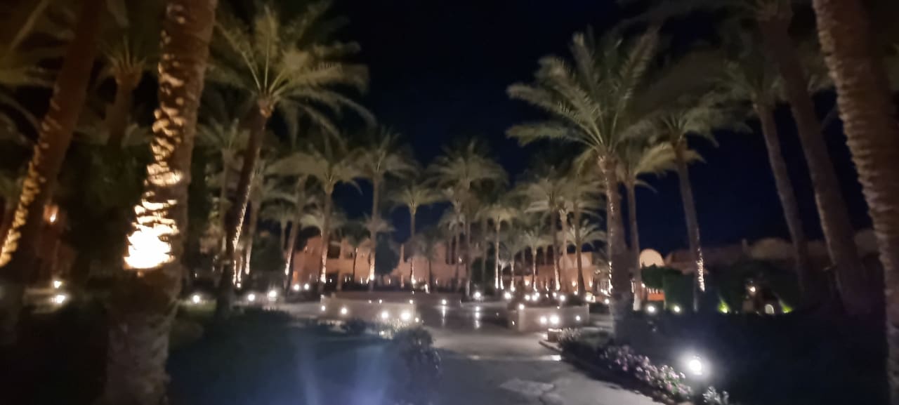 Gartenanlage Jaz Makadi Oasis Resort