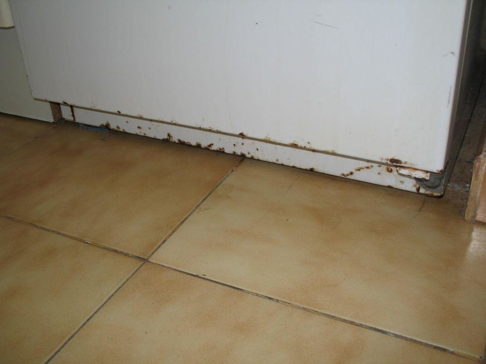 Kühlschrank unterer äußerer Bereich Servatur Alameda de Jandía