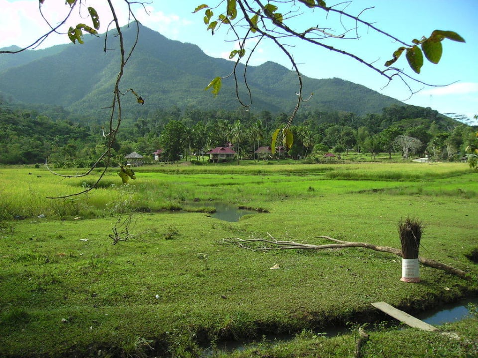 Ausblick vom Bambua Restaurant Bambua Nature Park Resort