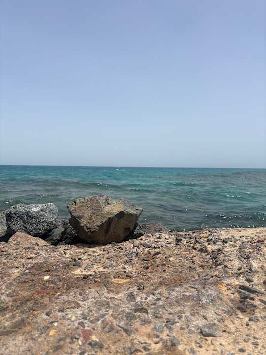 Ausblick Desert Rose