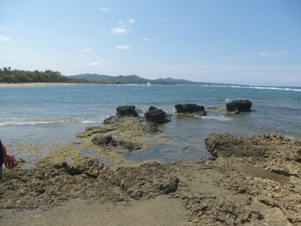 Strand mit Felsenbereich Senator Puerto Plata Hotel
