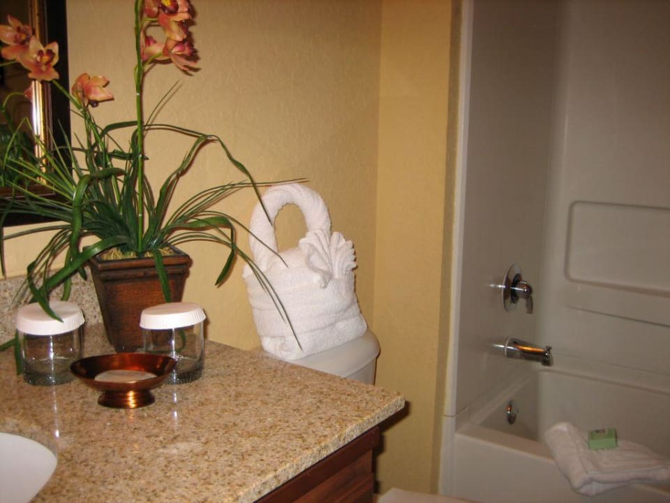 Badezimmer Hotel Floridays Resort Orlando