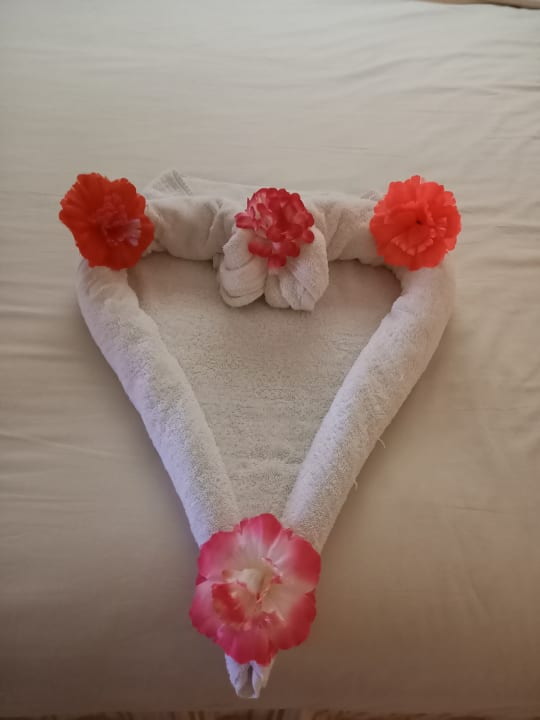 Zimmer Makadi Spa - Adults only