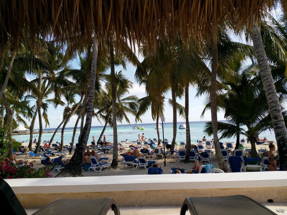 Ausblick Hotel Viva Dominicus Beach by Wyndham - All Inclusive Resort