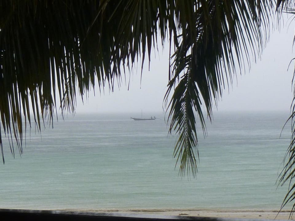 Einmal umfallen und man ist am Strand Long Bay Resort Koh Phangan