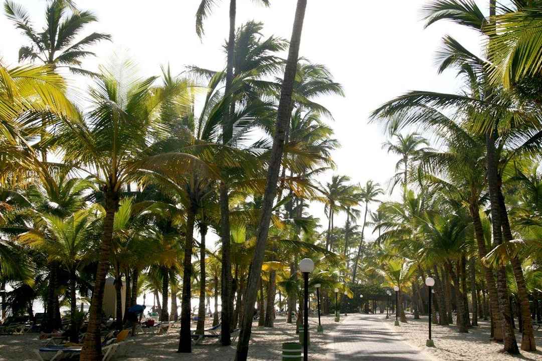 Weg zum Strand Hotel Riu Bambu