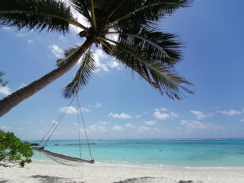 Strand Summer Island Maldives