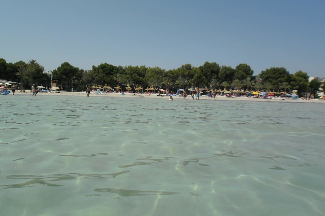 More Alcudia Garden Aparthotel