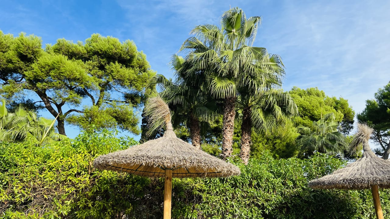 Außenansicht allsun Hotel Eden Alcudia