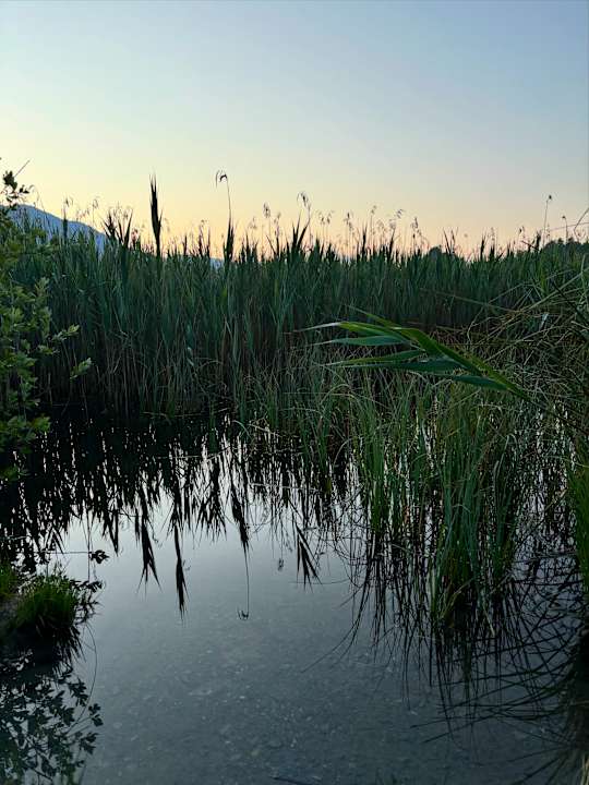 Sonstiges Alpen Adria Hotel & Spa