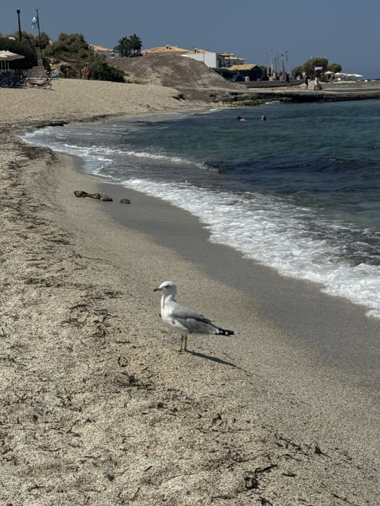 Strand Mitsis Cretan Village