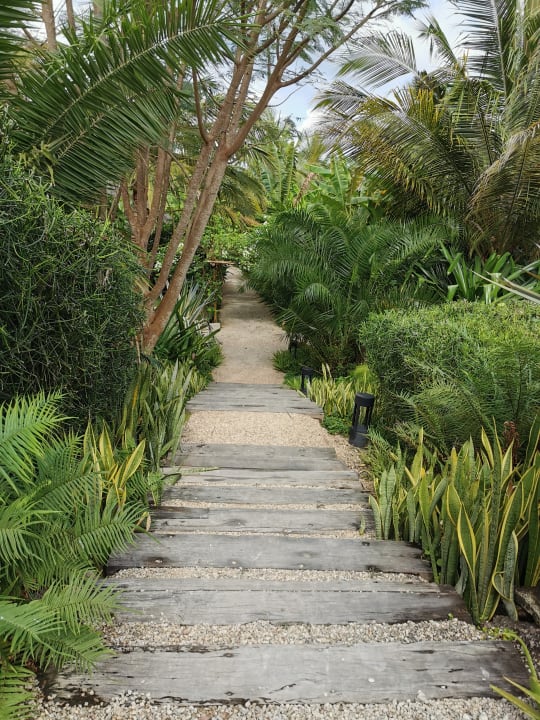 Gartenanlage Zuri Zanzibar Hotel & Resort