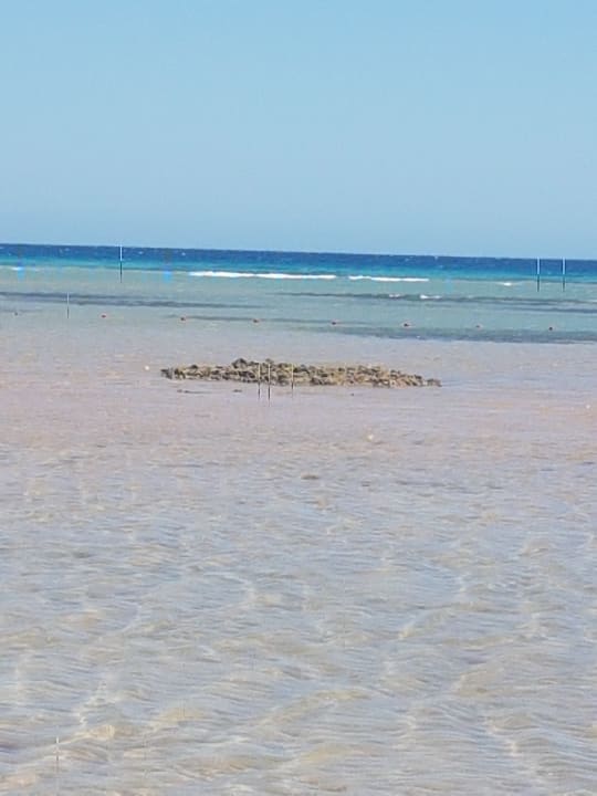 Strand Shams Prestige Abu Soma-Adults Only