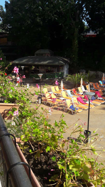 Pool Odessos Park Hotel