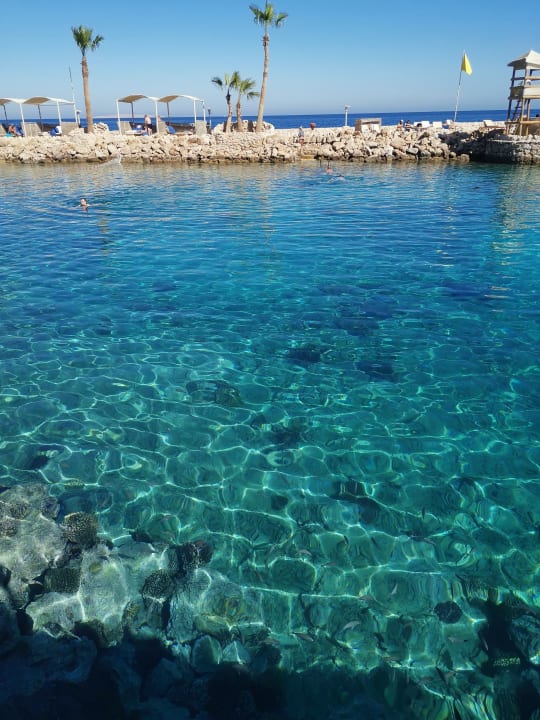 Strand Pickalbatros Citadel Resort