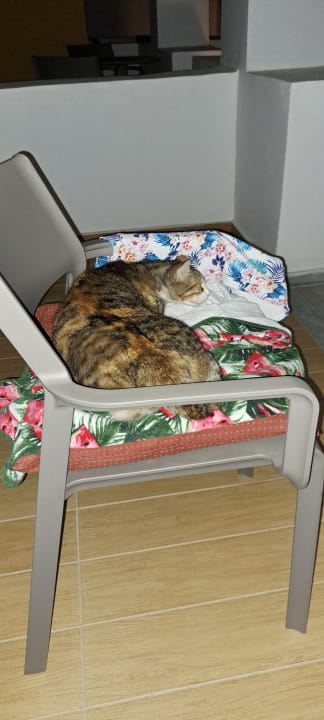 Zimmer Lagas Aegean Village