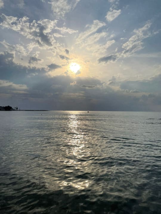 Strand Can Garden Beach