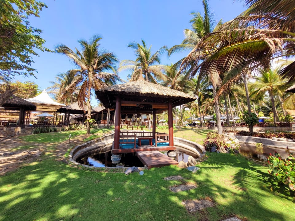 Gartenanlage Hotel Blue Ocean Resort