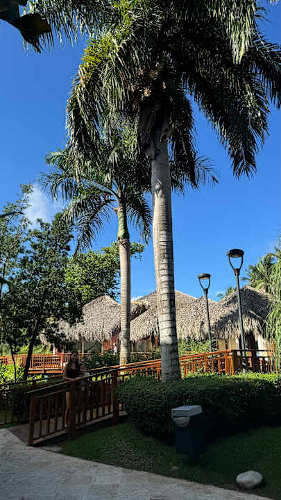 Gartenanlage Hotel Viva Dominicus Palace by Wyndham-All Inclusive Resort