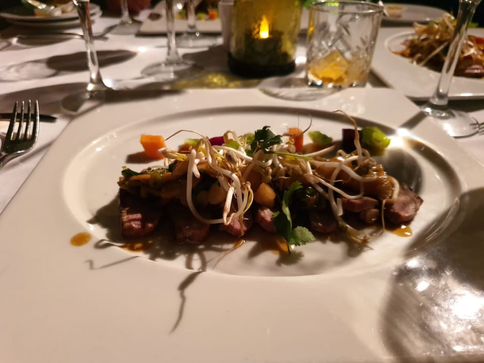 Gastro Akumal Bay Beach & Wellness Resort