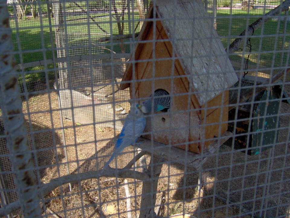 Tiergarten mit kleinen Tieren Club Tuana Fethiye