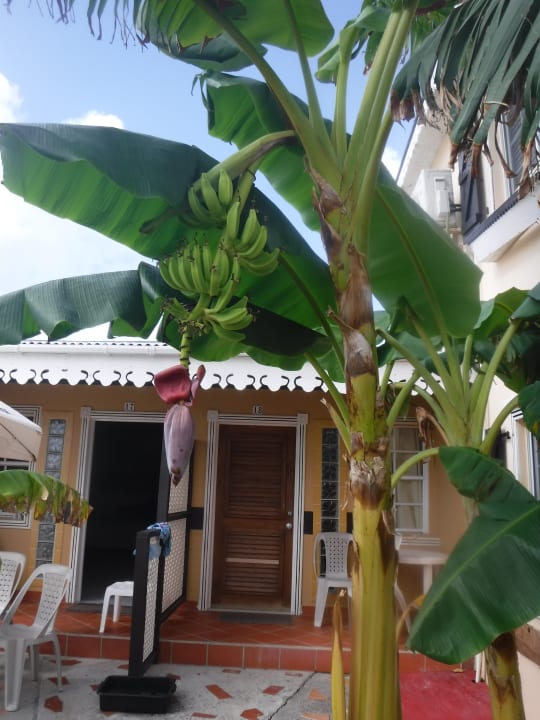 Gartenanlage Hotel Marys Boon