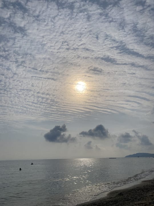 Ausblick Hotel Albatros