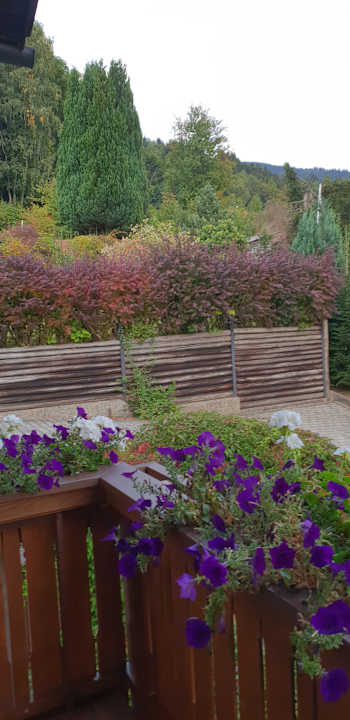 Ausblick Landhaus Meine Auszeit