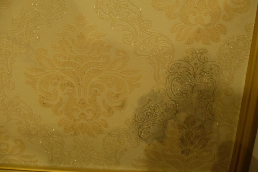Heavy mould on a tapestry Hotel Thaison Palace