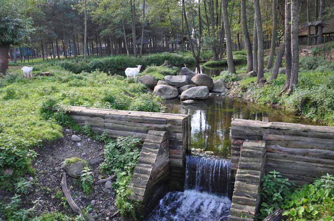 Ostoja żubrów Dworek nad Łąkami Kiermusy