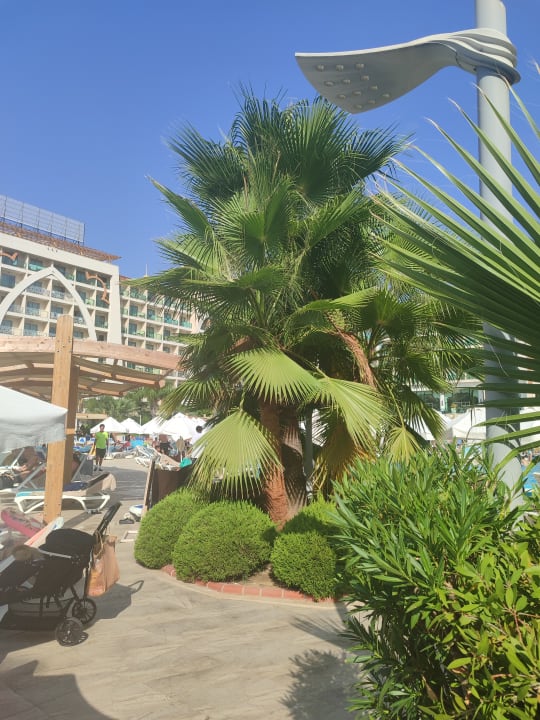 Gartenanlage Alan Xafira Deluxe Resort & Spa