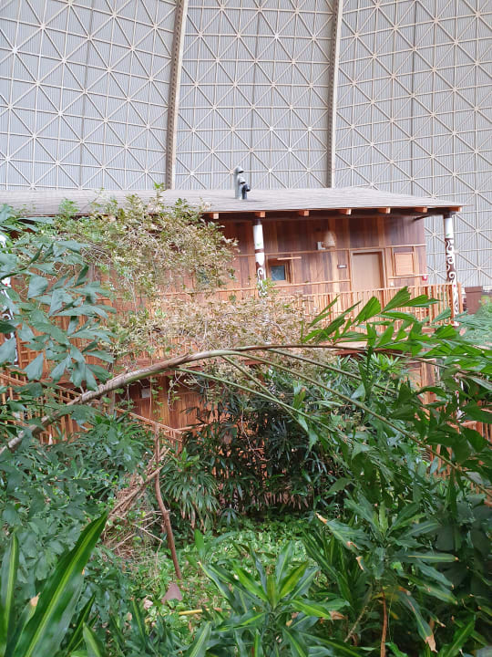 Sonstiges Tropical Islands Resort
