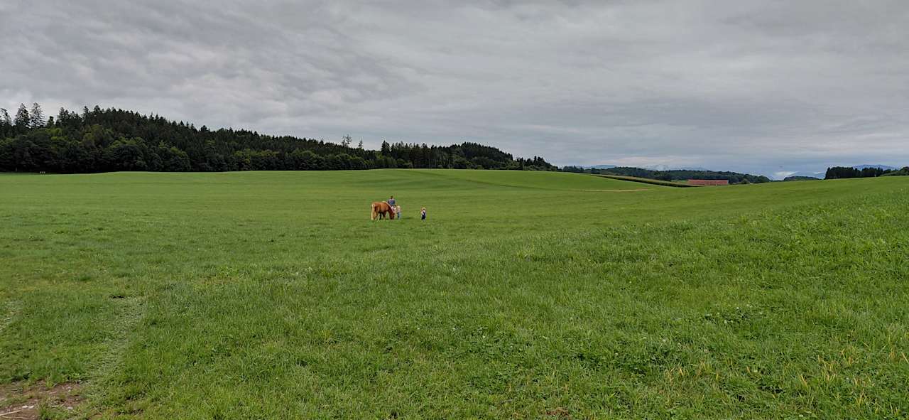 Sonstiges Lohner Hof