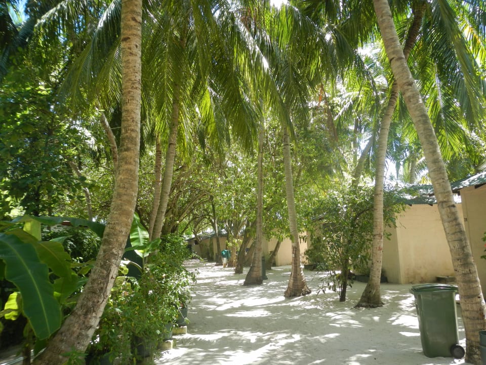 Innenbereich Summer Island Maldives
