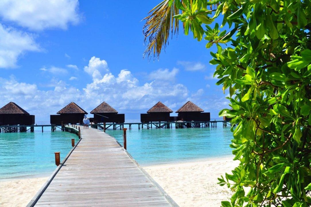 Steg zu den Villen Veligandu Maldives Resort Island
