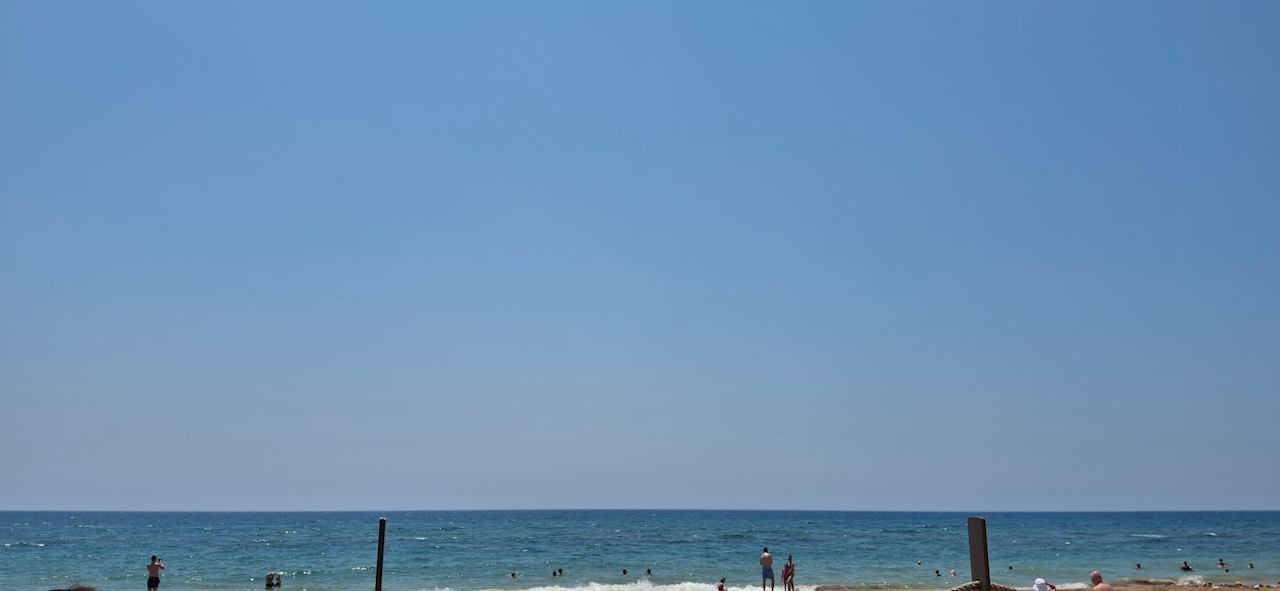 Strand Seashell Vega