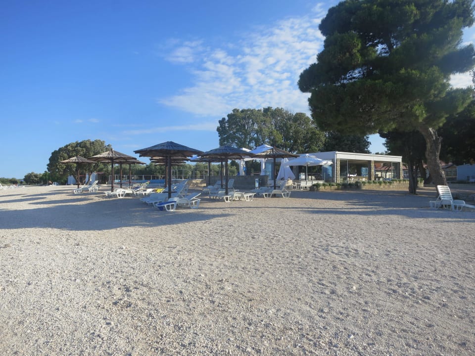 Blick auf die Bar Camping Strasko